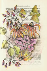 Vintage botanisk studie