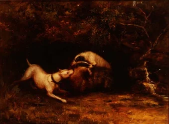 Hunde, der lokker en grævling, ca. 1870