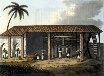 Brasilien, sukkerfabrik - i "" The Old and Modern Costume"" 1819 - 1820 af Dr. Jules Ferrario, red Milano.