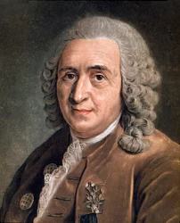 Portræt af Charles Linnaeus (Carl von Linne, Linnaeus 1707 - 1778), svensk naturforsker Anonym maleri. 1700-tallet. Milano, privat samling