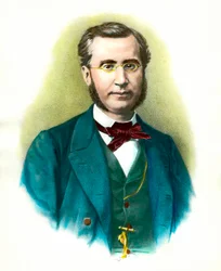 Portræt af Emile Ollivier (1825-1913), fransk politiker. Indgravering af det 19. århundrede. Privat samling