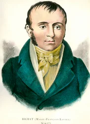 Portræt af Francois Xavier Bichat (1771-1802) fransk læge. Indgravering af det 19. århundrede. Privat samling