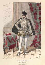 Portræt af kong Charles IX (1550 - 1574) - Portræt af kong Charles IX - privat samling