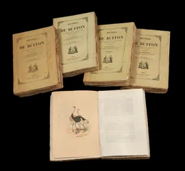 The Complete Artworks of Buffon (1707 - 1788) - privat samling