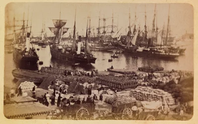 Byen Marseille og dens omgivelser omkring 1885 -1890: Bassin de la Joliette, fragtbord på katte, Privat samling