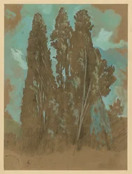 Cypressestudie