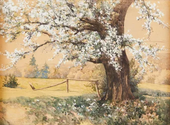 Antal Neogrády Blomstrende træ