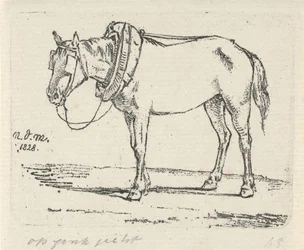 sminket hest
