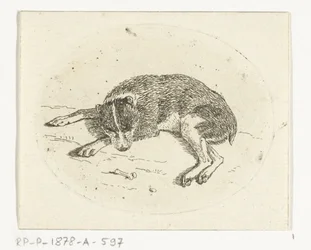liggende hund