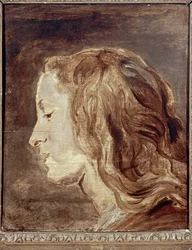 Head Study, første halvdel af det 17. århundrede (olie på bord)