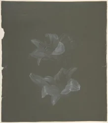 Blomsterdesign