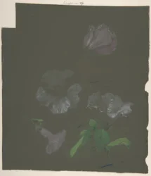 Blomsterdesign