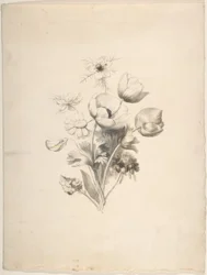 Blomsterdesign