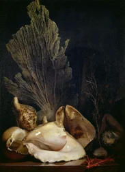 Stilleben med skaller og koraller (olie på lærred)