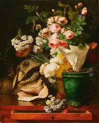Stilleben med blomster, skaller, et hajhoved og petifikationer