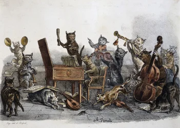 En amatørkoncert, karikatur af katte, der spiller musikinstrumenter, gravering af Carle Vernet (1758-1836), Frankrig