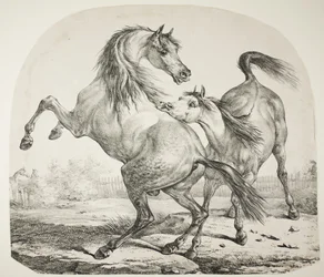 Vilde heste kæmper, ca. 1820