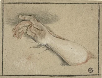 Hånd og underarm