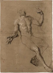 Studie af en siddende mandlig nøgenmodel, til Bacchus