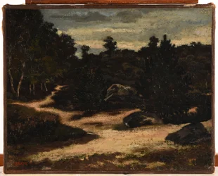 Fransk: Chemin sableux en forêt de Fontainebleau