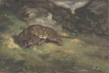 Leopard og slange, 1810-75.