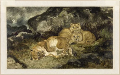 Lioness and Cubs, ca. 1832 (akvarel og grafit, på elfenbensfarvet vævet papir)