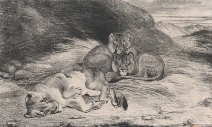 Løvinde og unger, muligvis 1832.