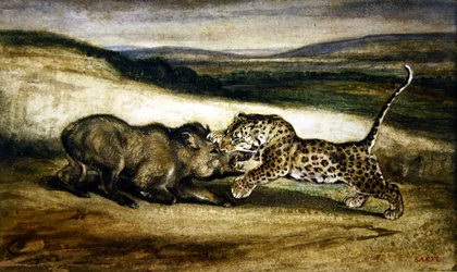 Panter i kamp mod et vildsvin (akvarel)