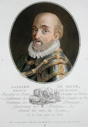 Gaspard de Saulx (1509-73) Herre af Tavanes