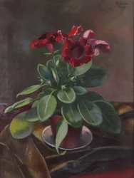 Anton Hula potteplante