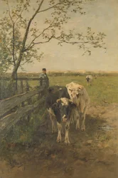 Mælken bøjer