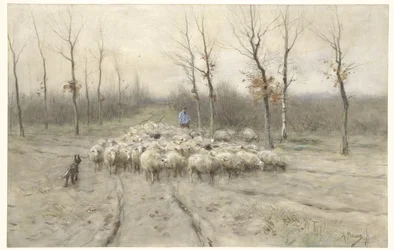 Fårehold på heden ved Laren