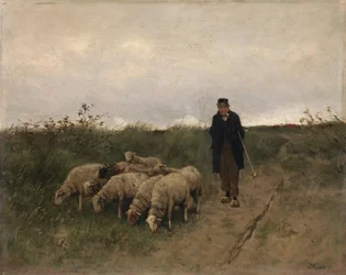 Hyrde og får