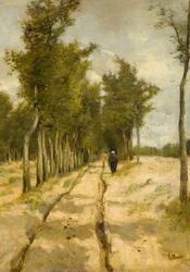 Torenlaan i Laren