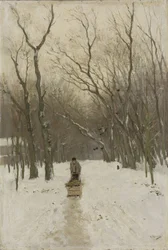 Vinter i Scheveningen-skoven