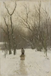 Vinter i Scheveningen-skoven