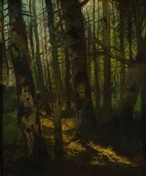 Rydning af skov