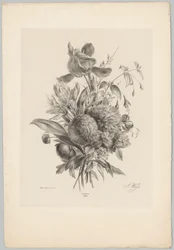 Nelliker og liljer Blomster- og frugtstudier (...) 10. afsnit (serietitel)
