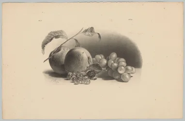 Æbler, bær, brombær og vindruer Blomster- og frugtstudier (...) 3. afsnit (serietitel)