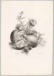 Blomster, æbler, pære, granatæble og brombær Blomster- og frugtstudier (...) 10. afsnit (serietitel)