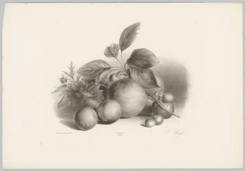 Blomster, nektariner og hasselnødder Blomster- og frugtstudier (...) 10. afsnit (serietitel)