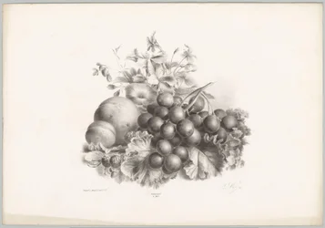 Blomster, fersken, nektarin, vindruer og brombær Blomster- og frugtstudier (...) 10. afsnit (serietitel)