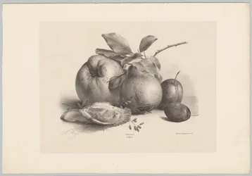 Frugt, blommer og østers Blomster- og frugtstudier (...) 10. afsnit (serietitel)