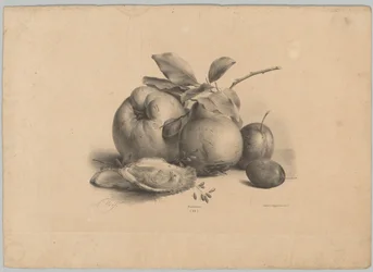 Frugt, blommer og østers Blomster- og frugtstudier (...) 10. afsnit (serietitel)