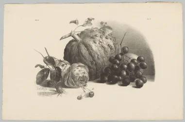 Græskar, vindruer, rose og jordbær Blomster- og frugtstudier (...) 3. afsnit (serietitel)