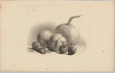 Græskar, ferskner, abrikos, blommer og hasselnødder Blomster- og frugtstudier (...) 3. afsnit (serietitel)