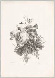 Roser og kalkformede blomster Blomster- og frugtstudier (...) 10. afsnit (serietitel)