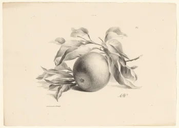 orange Frugter (serietitel)