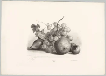 Figner, druer og appelsin Blomster- og frugtstudier (...) 10. afsnit (serietitel)