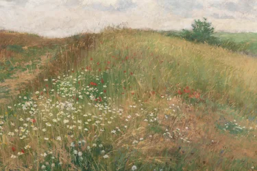 Sommer, 1897.